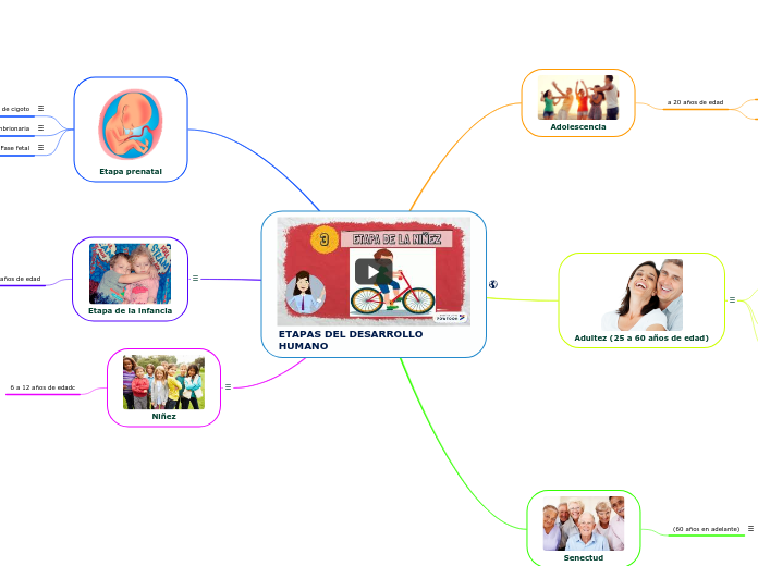 ETAPAS DEL DESARROLLO HUMANO - Mind Map